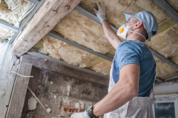 Best Attic Insulation Installation  in Lmer Heights, PA