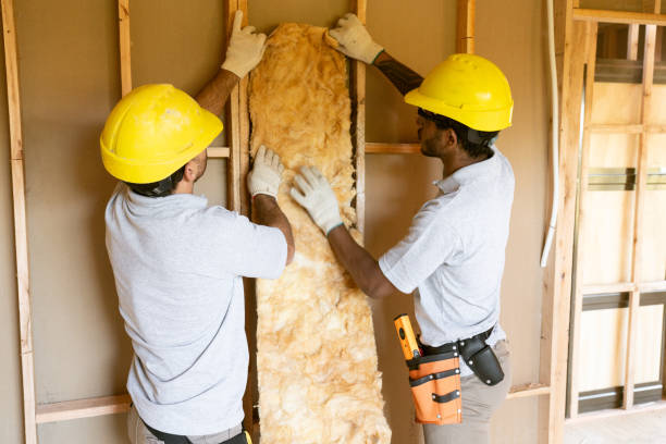 Best Insulation Contractor Near Me  in Lmer Heights, PA