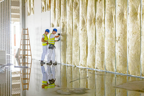 Best Insulation Inspection Services  in Lmer Heights, PA
